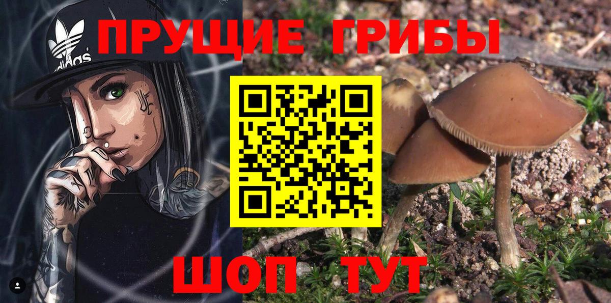 Новоуральск  Псилоцибиновые грибы Magic Shrooms  Вход с VPN 